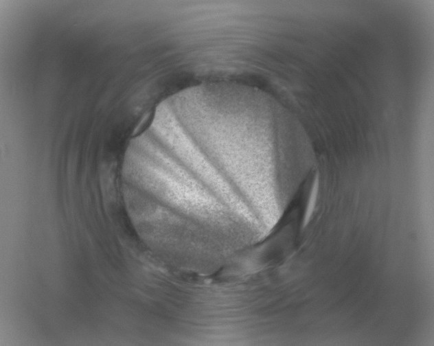 X0000054441059200508121839