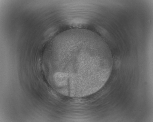 X0000054441060200508121839