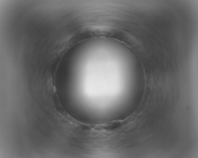 X0000054441061200508121839