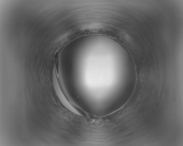 X0000054441062200508121839