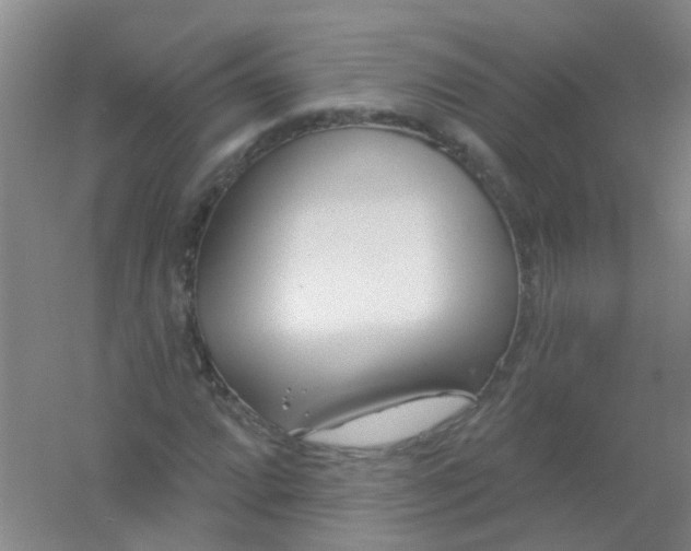 X0000054441064200508121839