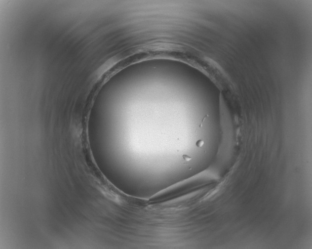 X0000054441065200508121839