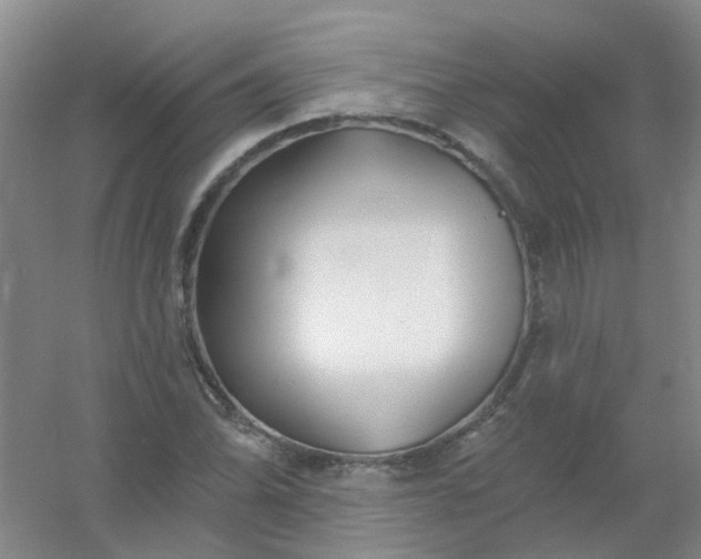 X0000054441070200508121838