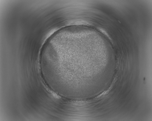 X0000054441071200508121838