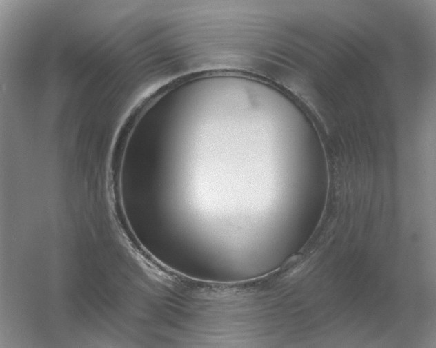 X0000054441072200508121838