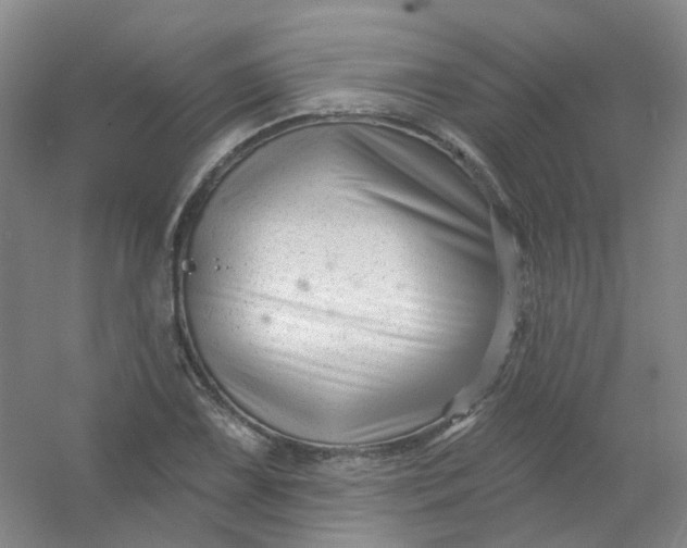 X0000054441075200508121838