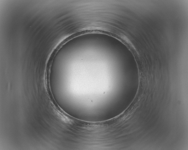 X0000054441076200508121838