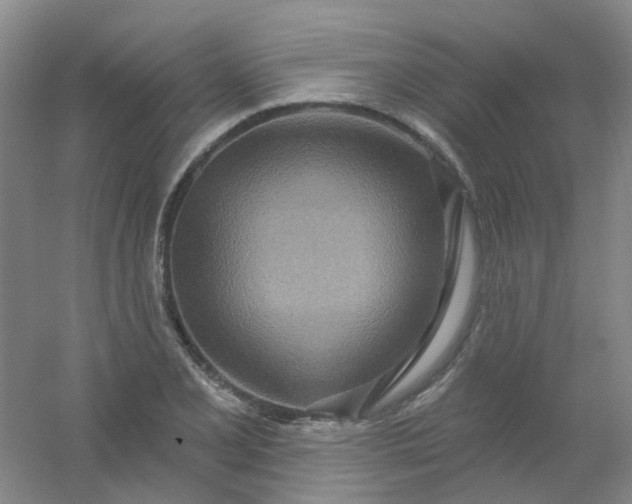 X0000054441077200508121838