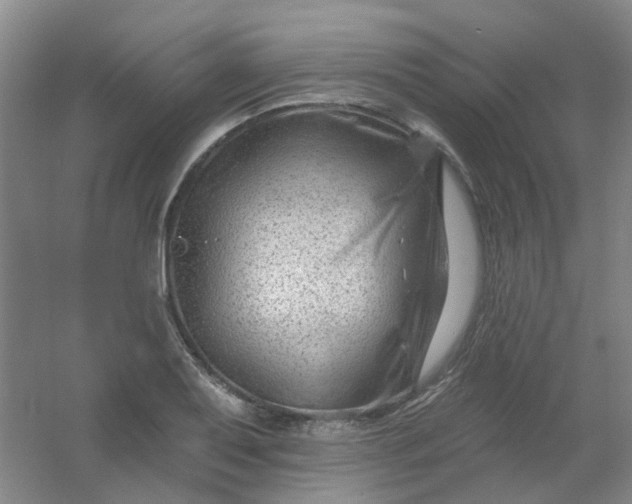 X0000054441079200508121838