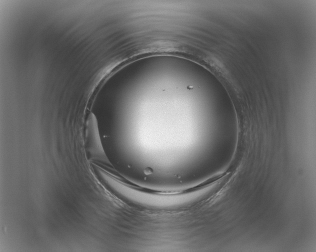 X0000054441081200508121838