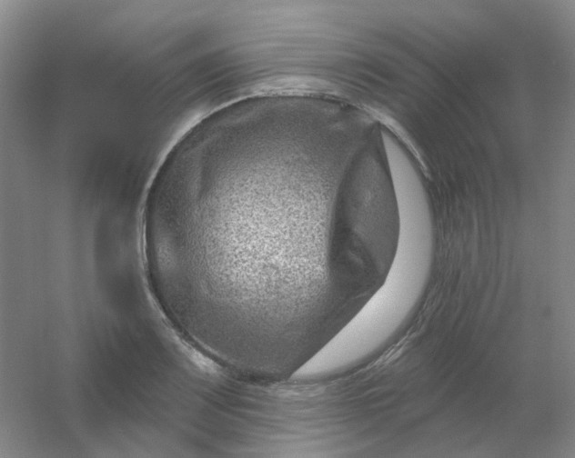 X0000054441083200508121838