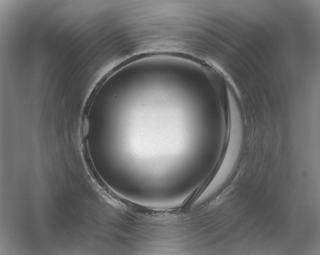 X0000054441085200508121838