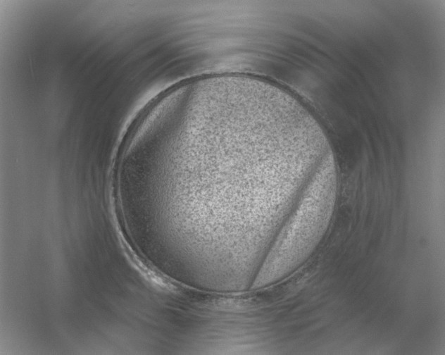 X0000054441086200508121838