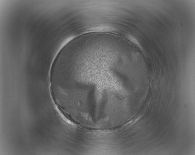 X0000054441087200508121838