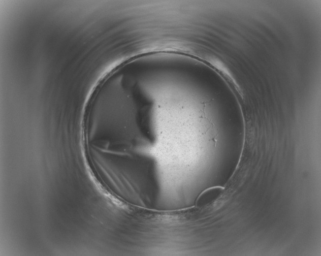 X0000054441088200508121838