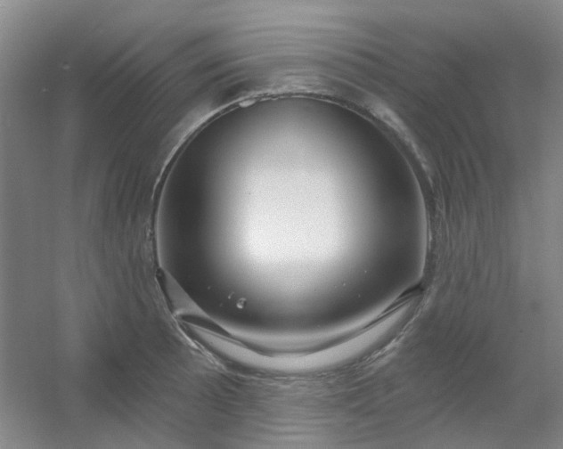 X0000054441089200508121838