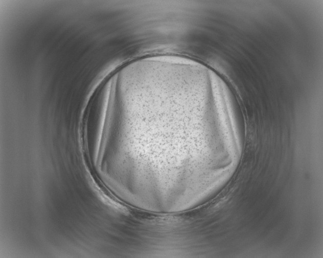 X0000054441090200508121838