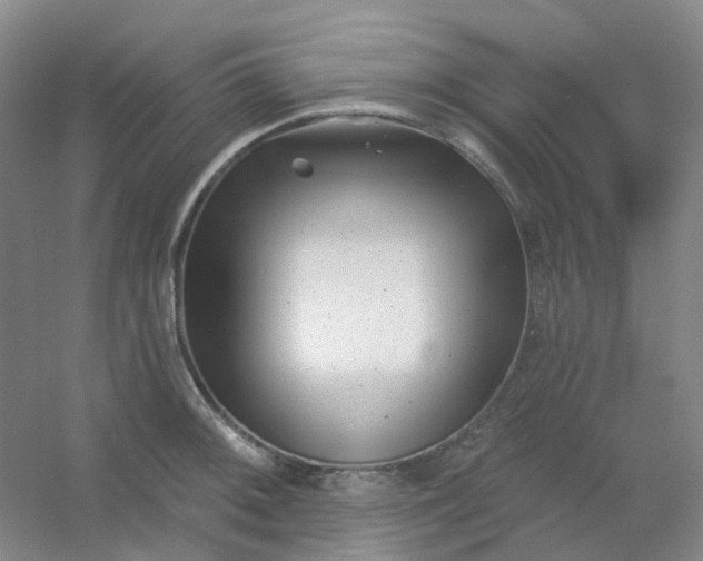 X0000054441092200508121838