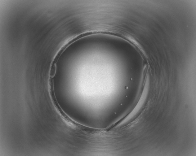 X0000054441093200508121838