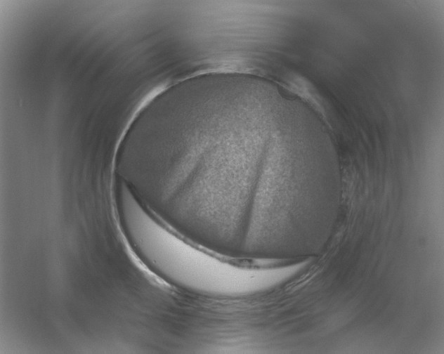 X0000054441095200508121838