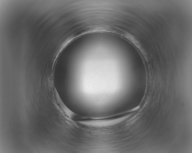 X0000054441097200508121838