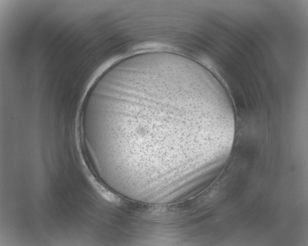 X0000054441098200508121838