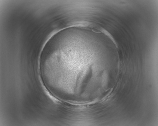 X0000054441099200508121838