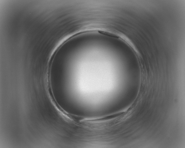 X0000054441101200508121838