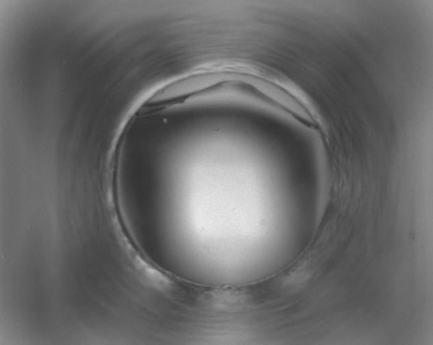 X0000054441102200508121838