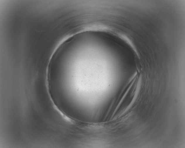 X0000054441103200508121838