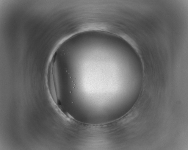 X0000054441104200508121838