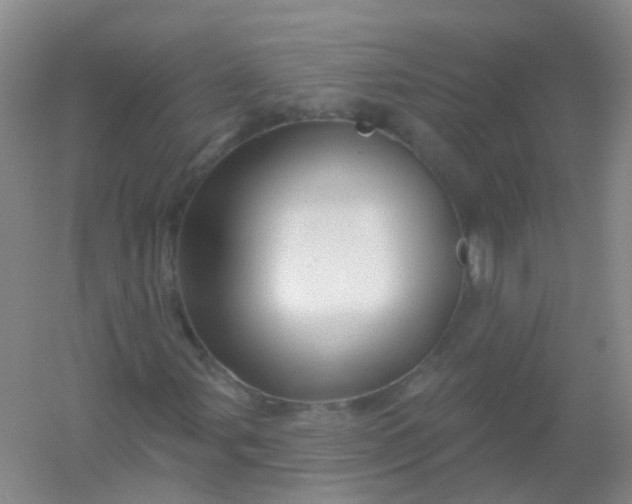 X0000054441107200508121837