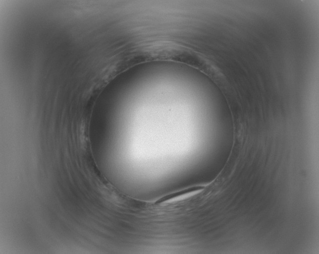 X0000054441108200508121837