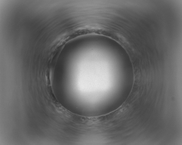 X0000054441110200508121837