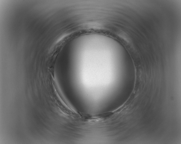 X0000054441112200508121837