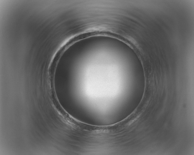 X0000054441118200508121837