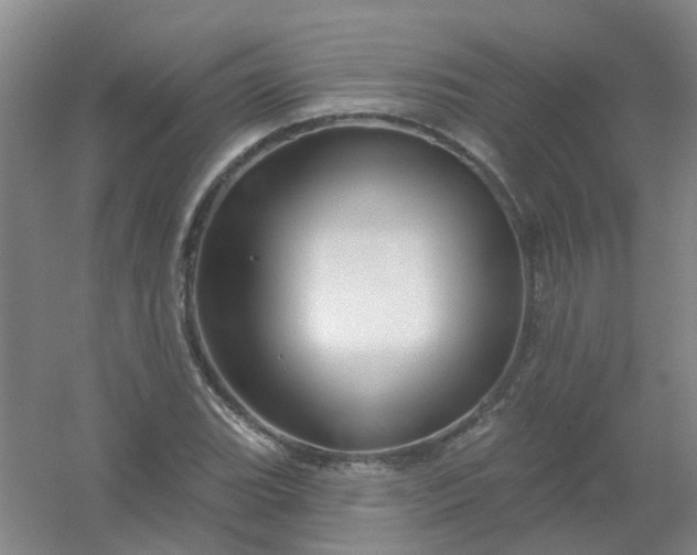 X0000054441119200508121837