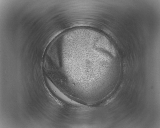 X0000054441121200508121837