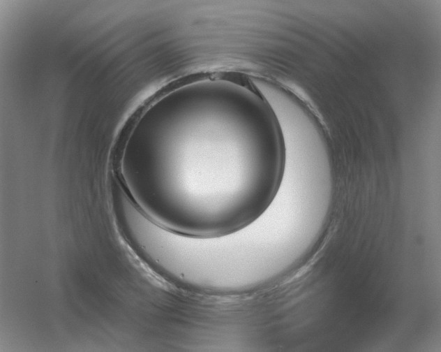 X0000054441122200508121837