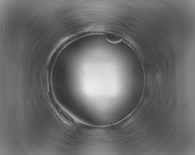 X0000054441123200508121837