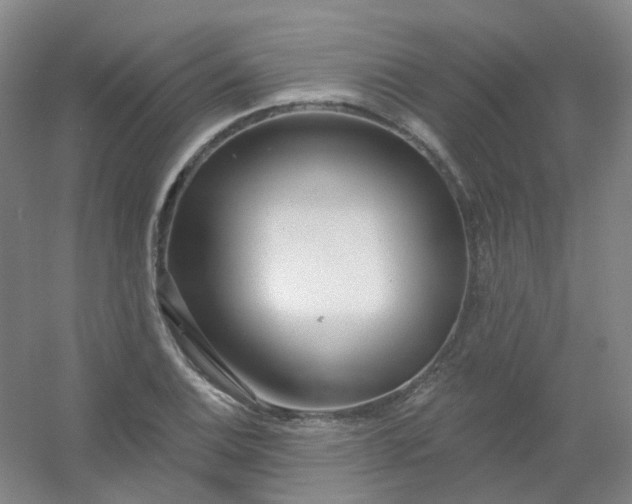 X0000054441124200508121837