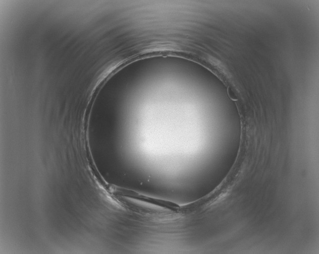 X0000054441129200508121837