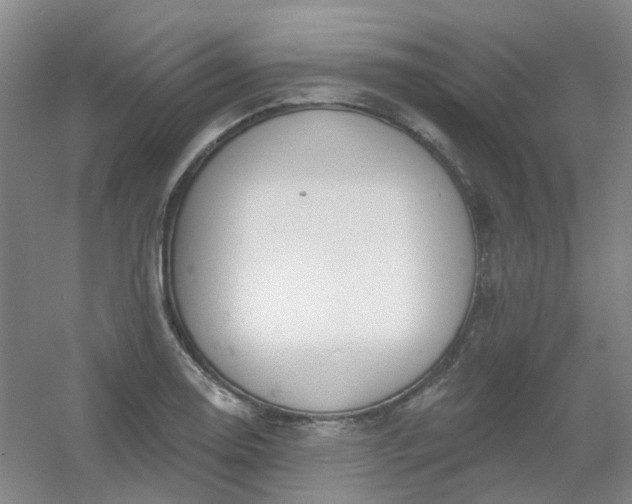 X0000054441130200508121838