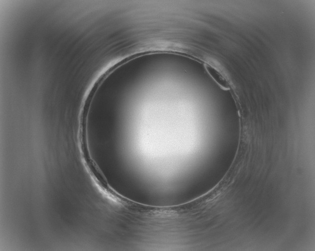 X0000054441136200508121838