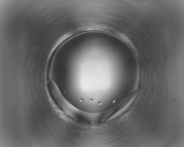 X0000054441138200508121838