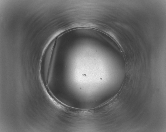 X0000054441139200508121838