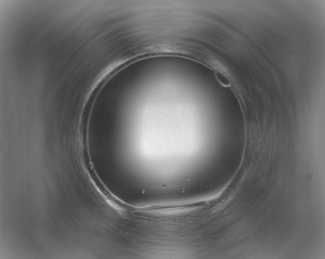 X0000054441141200508121838