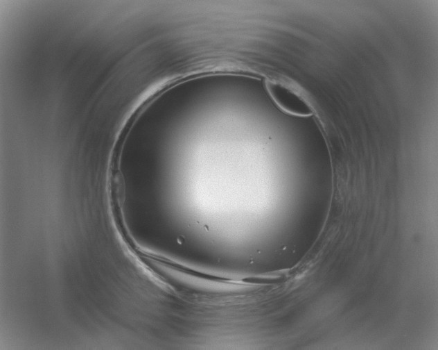 X0000054441142200508121838