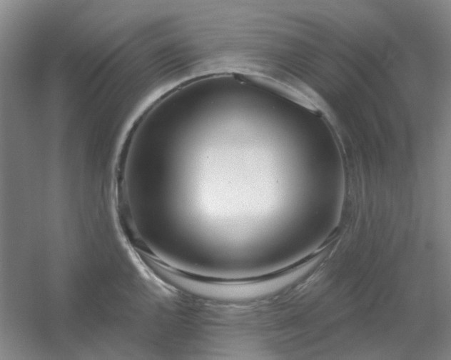 X0000054441144200508121838