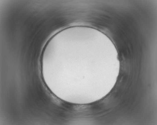 X0000054441150200508121838